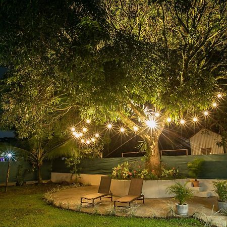 Anthurium House ラ・フォルトゥナ エクステリア 写真